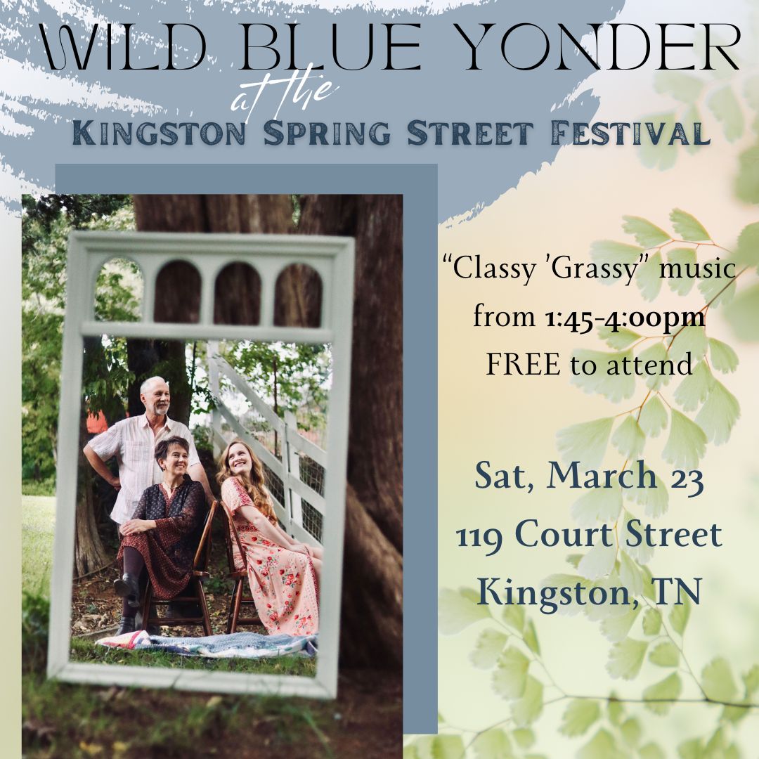 Read more about the article Kingston Spring Street Fest